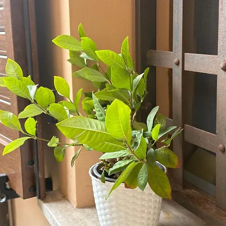 Appartement Casa Calidea